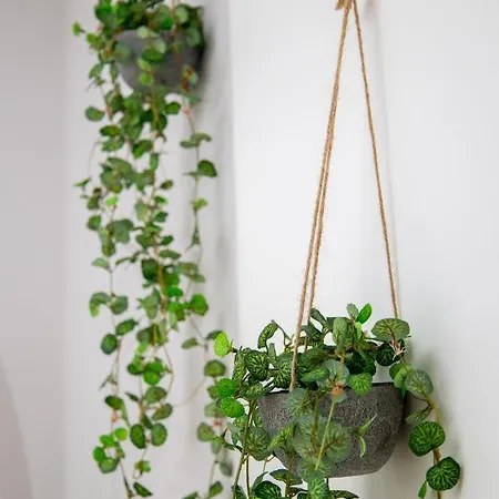 Vue Panoramique, Clim, Balcon Et Plages * Антиб