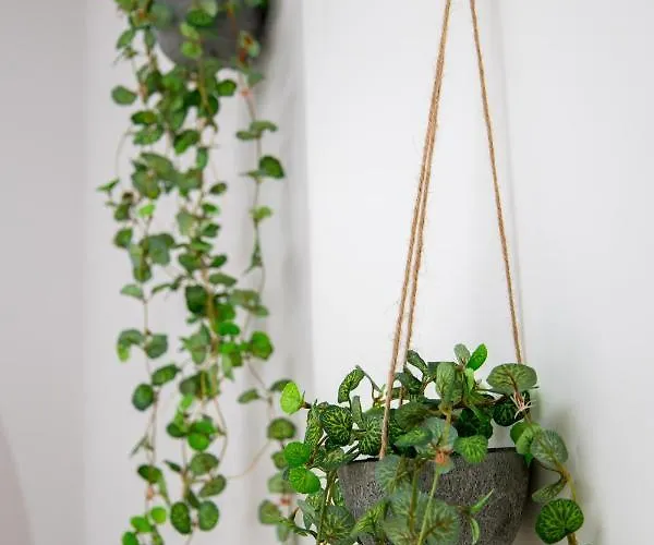 Vue Panoramique, Clim, Balcon Et Plages * Antibes